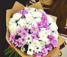 Букет цветов из:  Хризантемы #REPLACE_PRED# Деденево