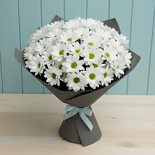 Букет цветов из:  Хризантемы #REPLACE_PRED# Деденево