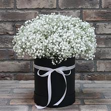 Цветочная композиция из Гипсофила в шляпной коробке #REPLACE_PRED# Деденево