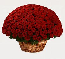 Премиум букет из: Розы в Деденево